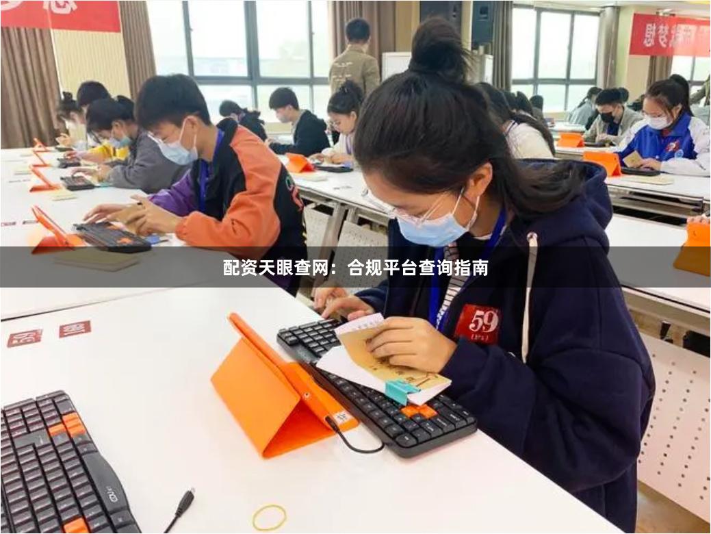配资天眼查网：合规平台查询指南