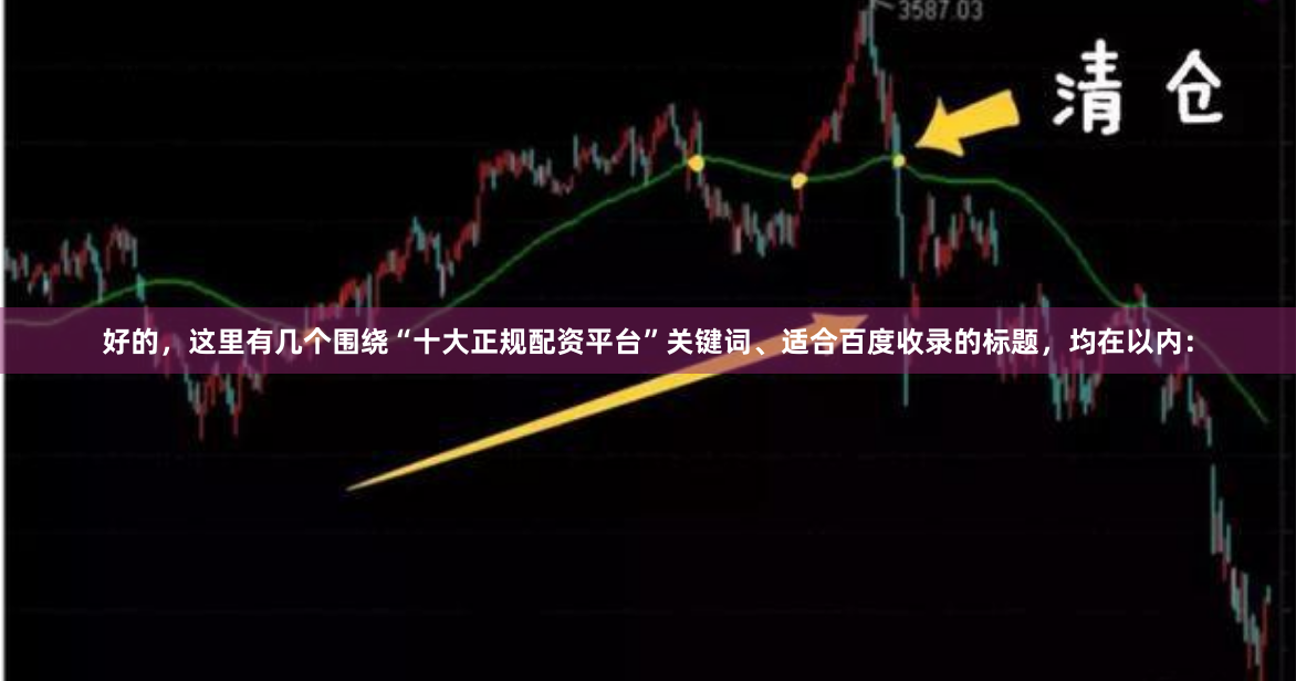 好的，这里有几个围绕“十大正规配资平台”关键词、适合百度收录的标题，均在以内：