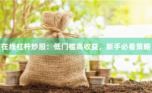在线杠杆炒股：低门槛高收益，新手必看策略